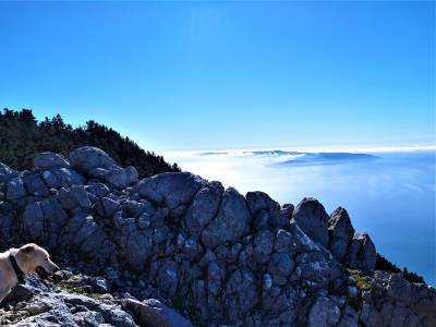 Ainos Marathon: Μια νέα αγωνιστική πρόκληση στο επιβλητικό βουνό της Κεφαλονιάς!