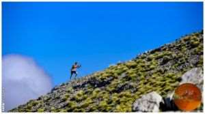 ARISTARCHOS SKYRACE 2016: Ένας ατόφιος αγώνας skyrace!