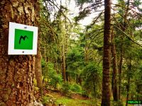 Τα αποτελέσματα του αγώνα 'Μονοπάτι Αρκάδων Ποιμένων' 2015