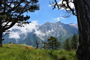 Πεζοπορία στον Όλυμπο την Κυριακή 17 Οκτωβρίου 2021!