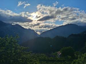 Triantafylia Mountain Trail Races: Ένας καθαρόαιμος αγώνας βουνού!