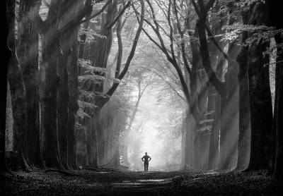 Photo copyright: Johanneke Kroesbergen-Kamps