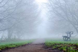 Tales from the trails: Ιστορίες καραντίνας στην “Ζώνη του Λυκόφωτος”!