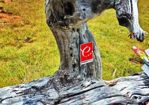 EPIRUS TRAIL, όλα όσα θέλετε να μάθετε για το μεγαλύτερο πεζοπορικό μονοπάτι στην Ελλάδα δια στόματος των συντελεστών του