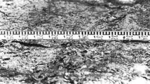 Λαζ. Ρήγος: Πρόταση Βαθμολόγησης Αγώνων Ορεινού Τρεξίματος!