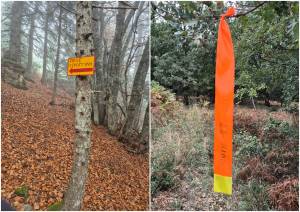 Ιστορίες Μονοπατιού: Σήμανση!