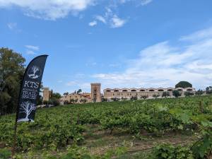 Δημήτρης Αποστολόπουλος: Όραμα μας είναι μία μεγάλη διοργάνωση που θα καλύπτει όλες τις απαιτήσεις των δρομέων μικρών &amp; μεγάλων αποστάσεων!