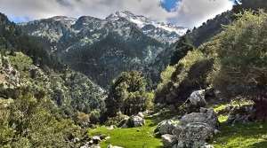 Δημήτρης Σκέντζος: Ονειρευόμαστε έναν Ηράκλειο Άθλο που κάθε χρονιά θα εξελίσσεται και θα ανανεώνεται!