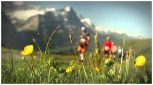 Η μέρα (ή καλύτερα...το μονοπάτι) της Μαρμότας!