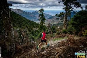 Με επιτυχία ολοκληρώθηκε ο αγώνας ορεινού τρεξίματος Dirfys Trail Run 2024!