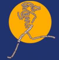 Xanthi Old City Trail: Η Διαδρομή και το υψομετρικό διάγραμμα των αγώνων