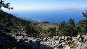 Kalamata Μountain Run 2024 στις 19 Μάϊου 2024 - Προκήρυξη Διοργάνωσης!