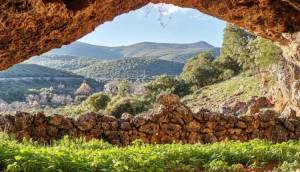 FARMAKAS Mountain Running  - ΑΝΑΚΟΙΝΩΣΗ ΑΓΩΝΩΝ ΚΥΡΙΑΚΗ 07/06/2026