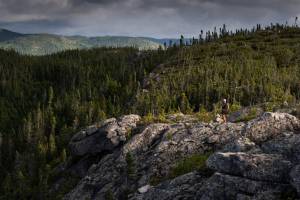 © 2019 David Beland, All rights reserved. 