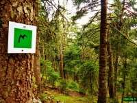 9ος Αγώνας "Μονοπάτια των Αρκάδων Ποιμένων": Δελτίο Τύπου - Αποτελέσματα 