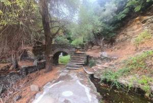 Όραμα μας είναι, το Andrus Beer Trail Race Festival, να γίνει ένα φεστιβάλ ορόσημο του νησιού μας!