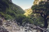 Zaros Trail Race: Μεταγωνιστικό δελτίο τύπου - αποτελέσματα