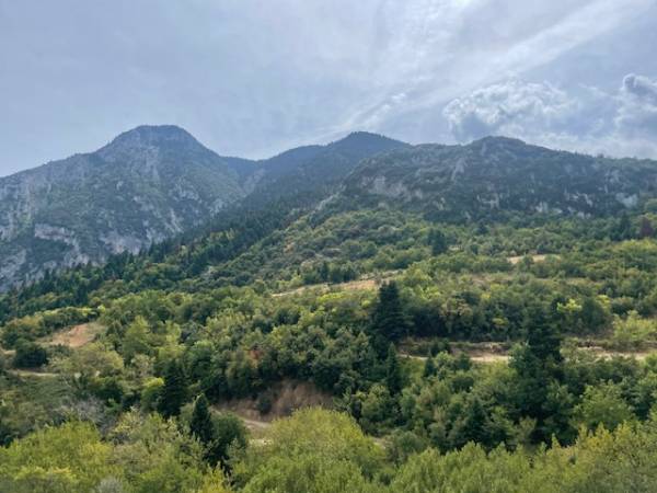 Hercules Mountain Trail 2026 – Οίτη: Τρέχοντας εκεί όπου το βουνό, το νερό και η μυθολογία αφηγούνται την ίδια ιστορία!