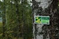 Virgin Forest Trail, 10 Χρόνια Ιστορίας ...