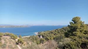 To 1ο Spetses Mountain Run είναι γεγονός!